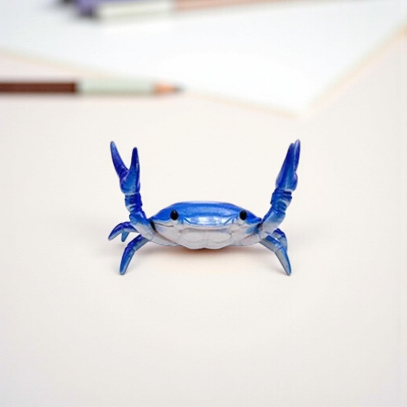 organiseur de bureau Bleu