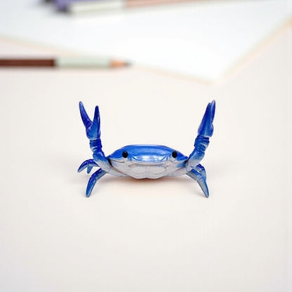 organiseur de bureau Bleu